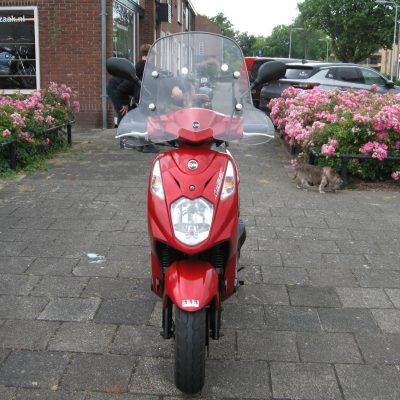 Sym Orbit II - Afbeelding 3