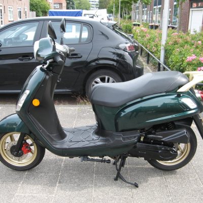 Sym Fiddle II - Afbeelding 5