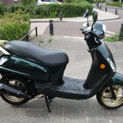 Sym Fiddle II - Afbeelding 4