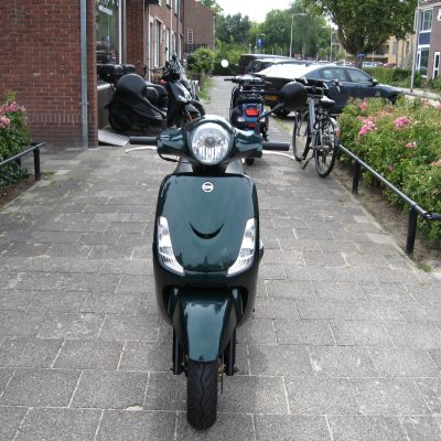 Sym Fiddle II - Afbeelding 3
