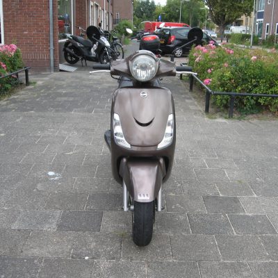 Sym Fiddle II - Afbeelding 3